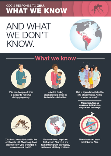 what-we-know-infographic